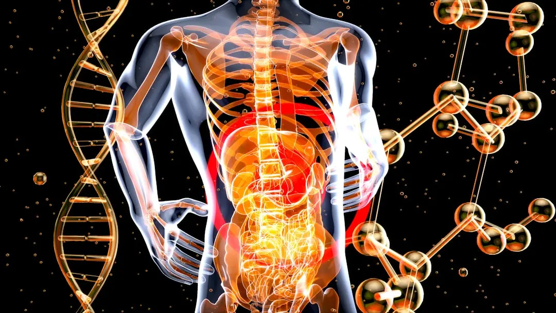 ADHD and Gut Health: Surprising Insights from New Research