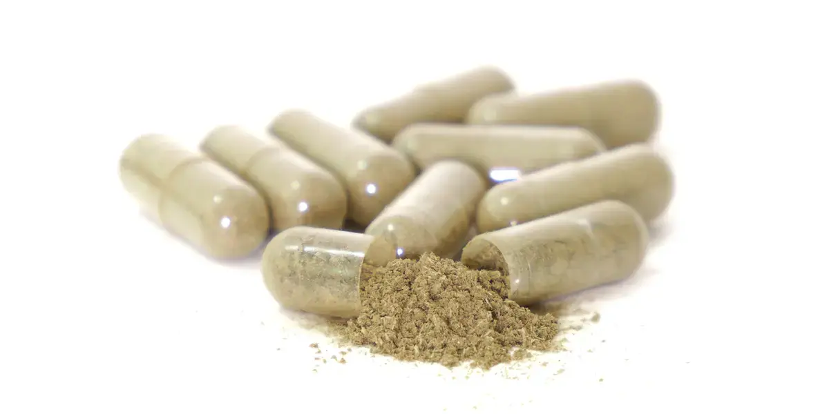 American Ginseng Extract Boosts Memory and Brain Waste Clearance in Elderly Rats