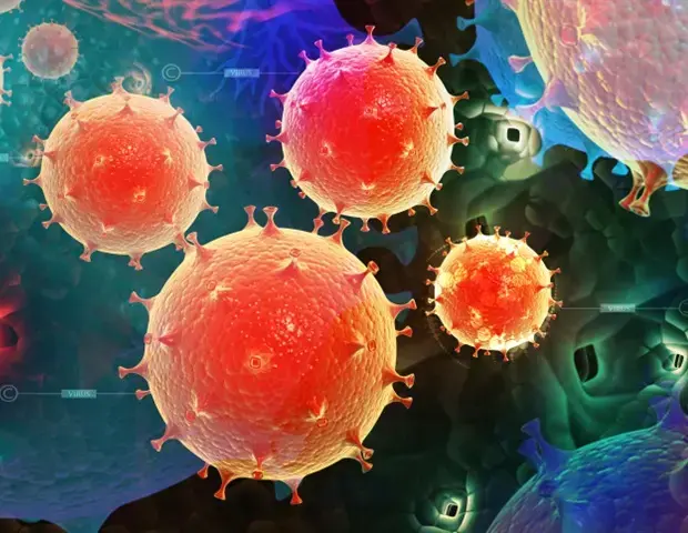 Bacterial Cause of Urinary Tract Infections Uncovered