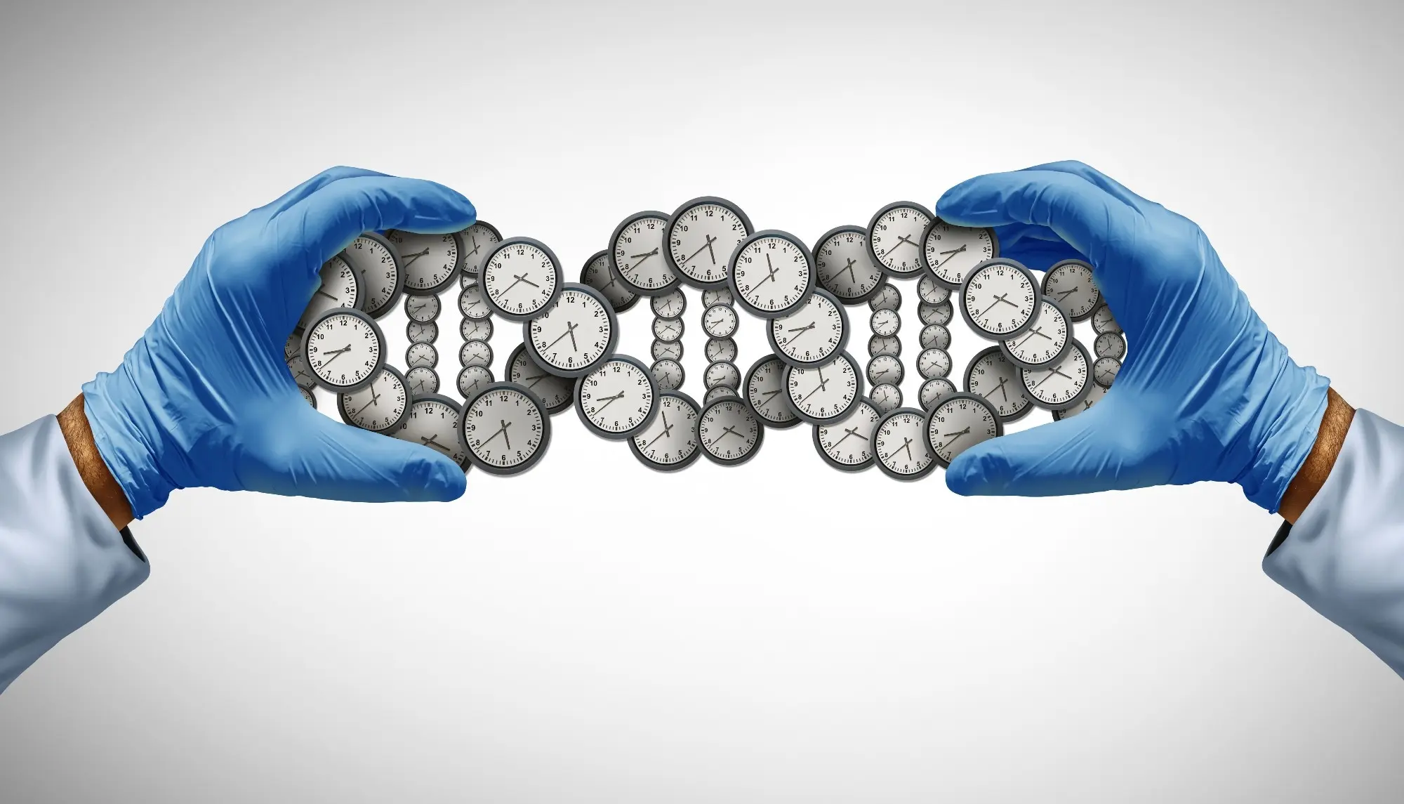Scientists Identify Which Aging Biomarkers Respond Most Consistently to Longevity Interventions