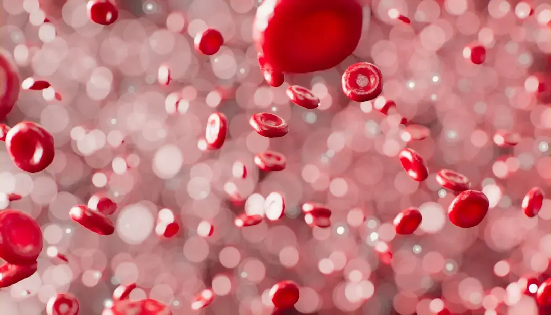 Blood Cells Invade Aging Brain, Challenging Old Beliefs