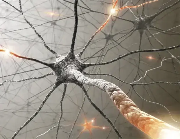 Blood Protein Shifts May Predict ALS Onset Years in Advance