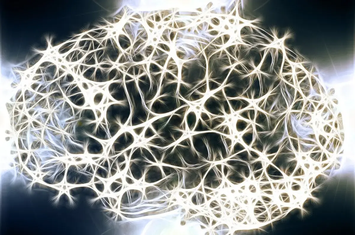 Brain Silence May Signal Imminent Seizures