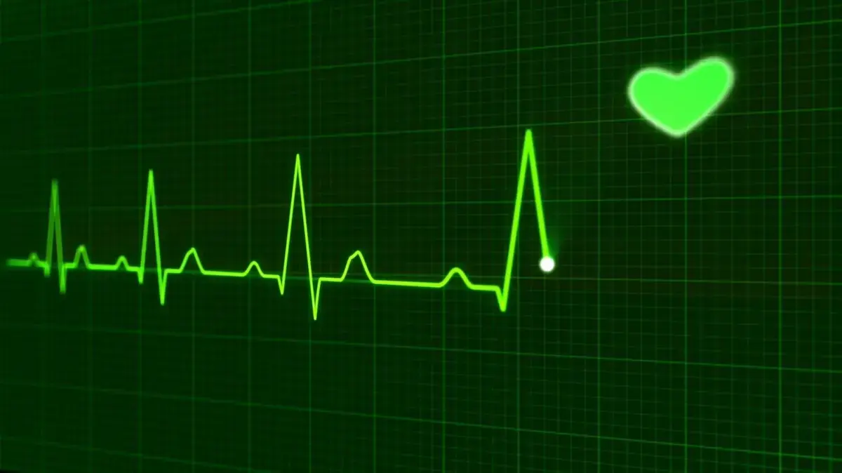 Breakthrough Discovery Offers Hope for Failing Hearts