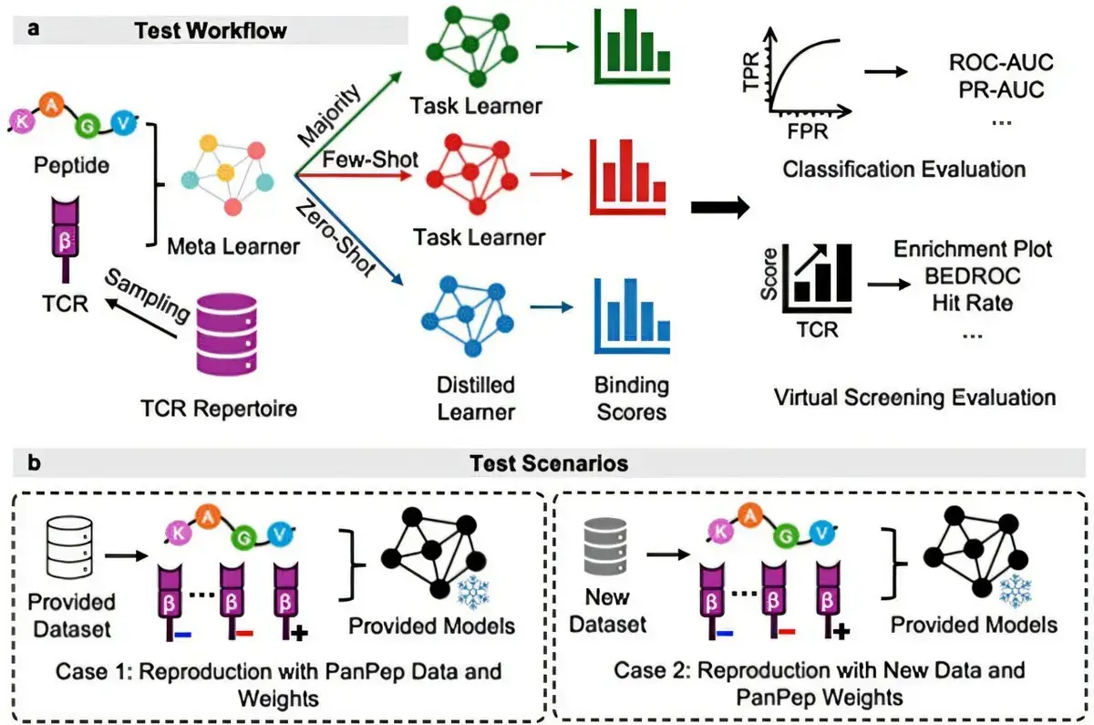 Can AI Predict How Our Bodies Fight Disease?