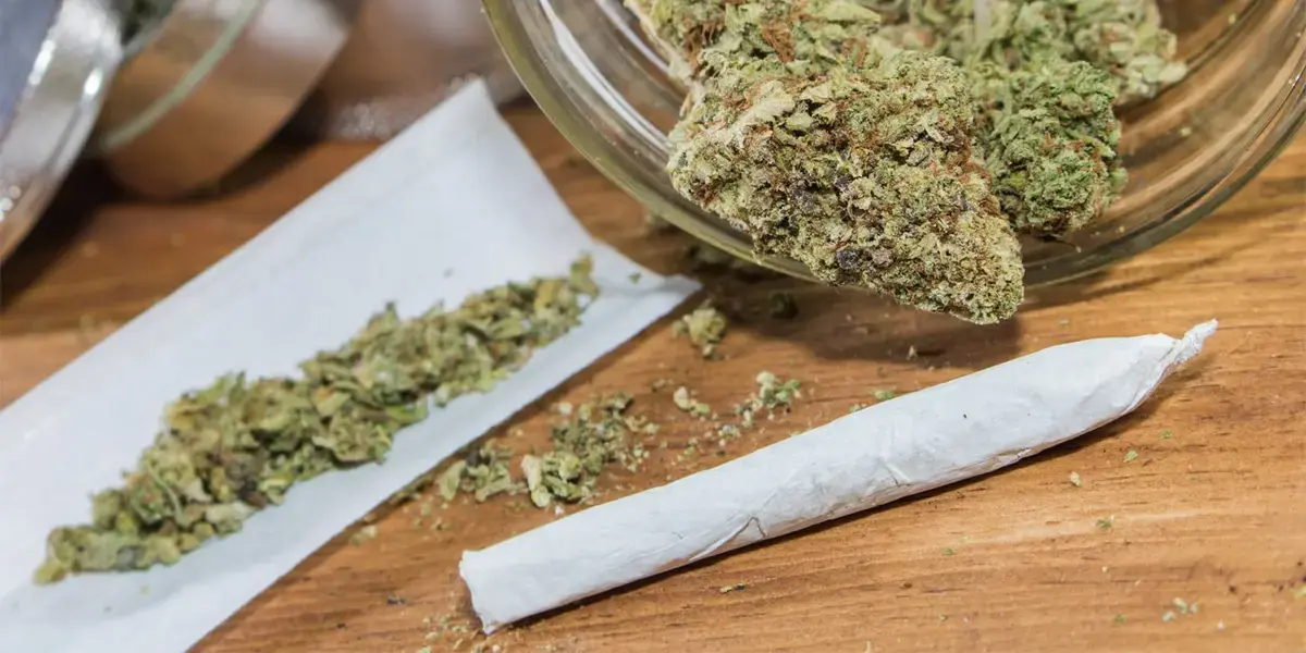 Cannabis Use Not Linked to Faster Cognitive Decline in Older Adults