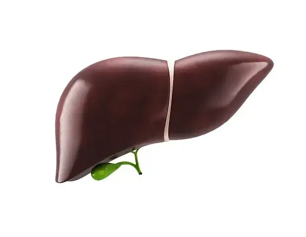 Combined Bio-Histological Score Aims to Reduce Overtreatment in Liver Transplant Recipients