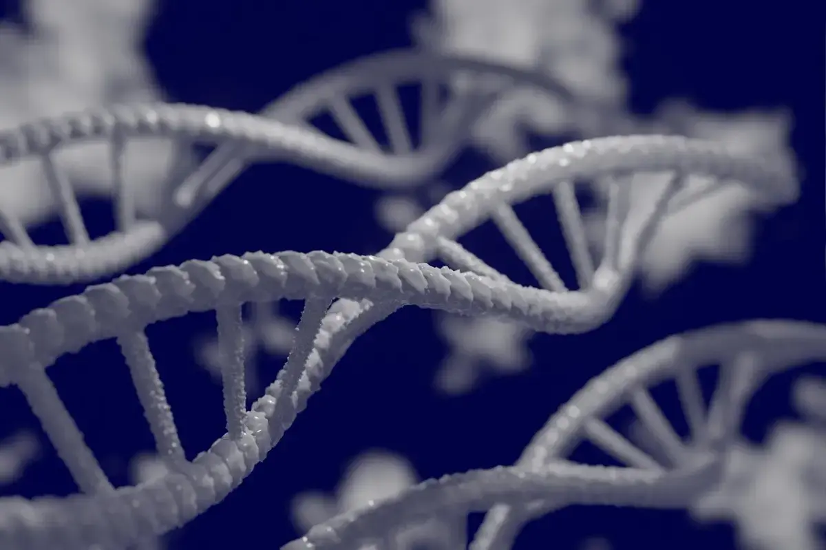 DNA Switches Fuel Cancer's Spread