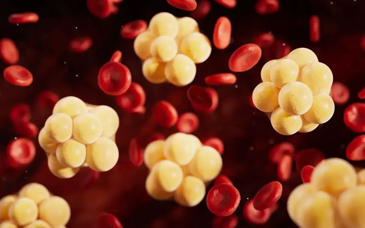Elite Athletes with Higher Vitamin D Show Healthier Lipid Profiles