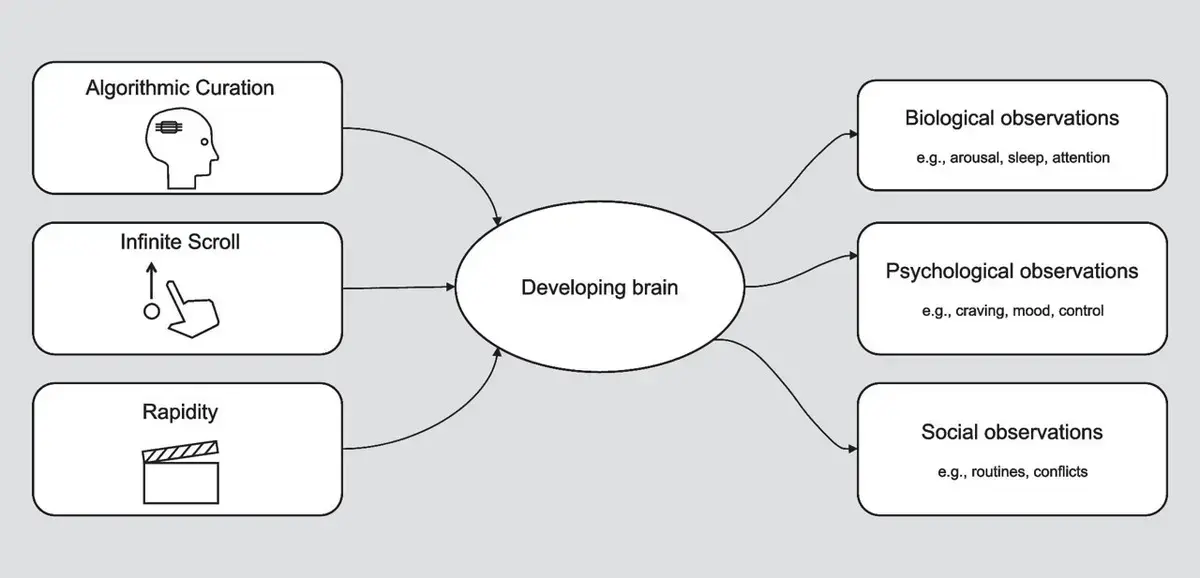 Endless Scroll May Raise Inattention, Stress in Young People
