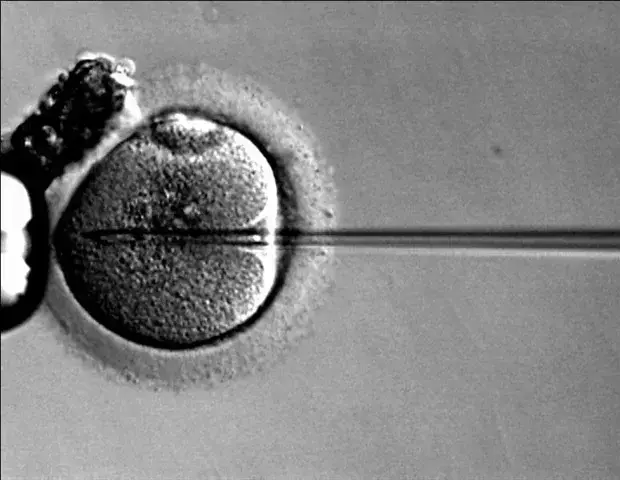 Gene Therapy Extends Healthy Lifespan