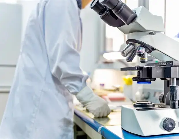 Gluten Breakthrough for Coeliac Patients