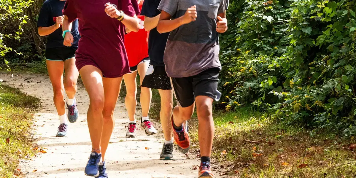 How Exercise Shapes Your Brain and Emotional Well-being