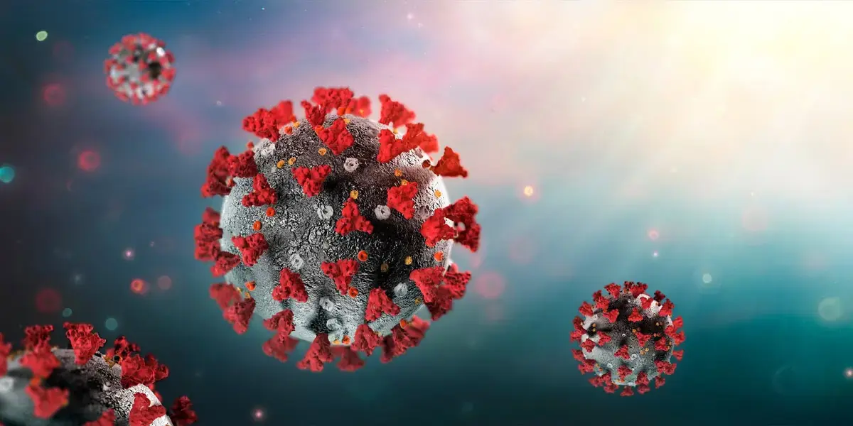 Immune Cells Linked to Lingering Nerve Pain in Long COVID