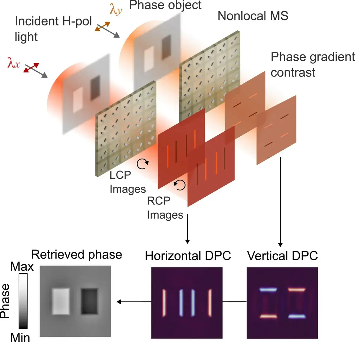 Innovative Metasurface Technology Could Revolutionize Medical Imaging Devices
