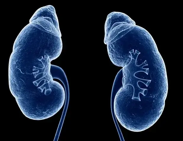 Kidney Disease Thresholds Accurately Predict Risk