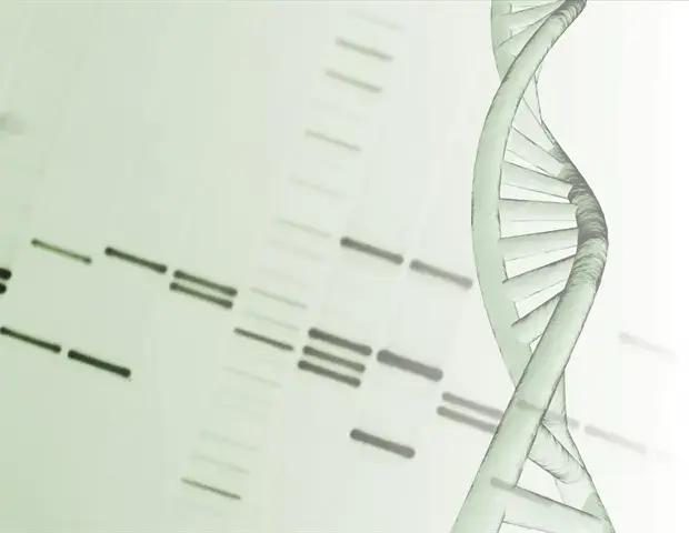 Large-Scale Simulations Reveal DNA's Physical Code for Gene Activation