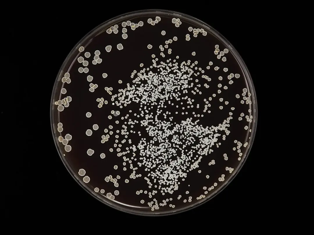 When gut microbes run low on fiber, they may start eating you