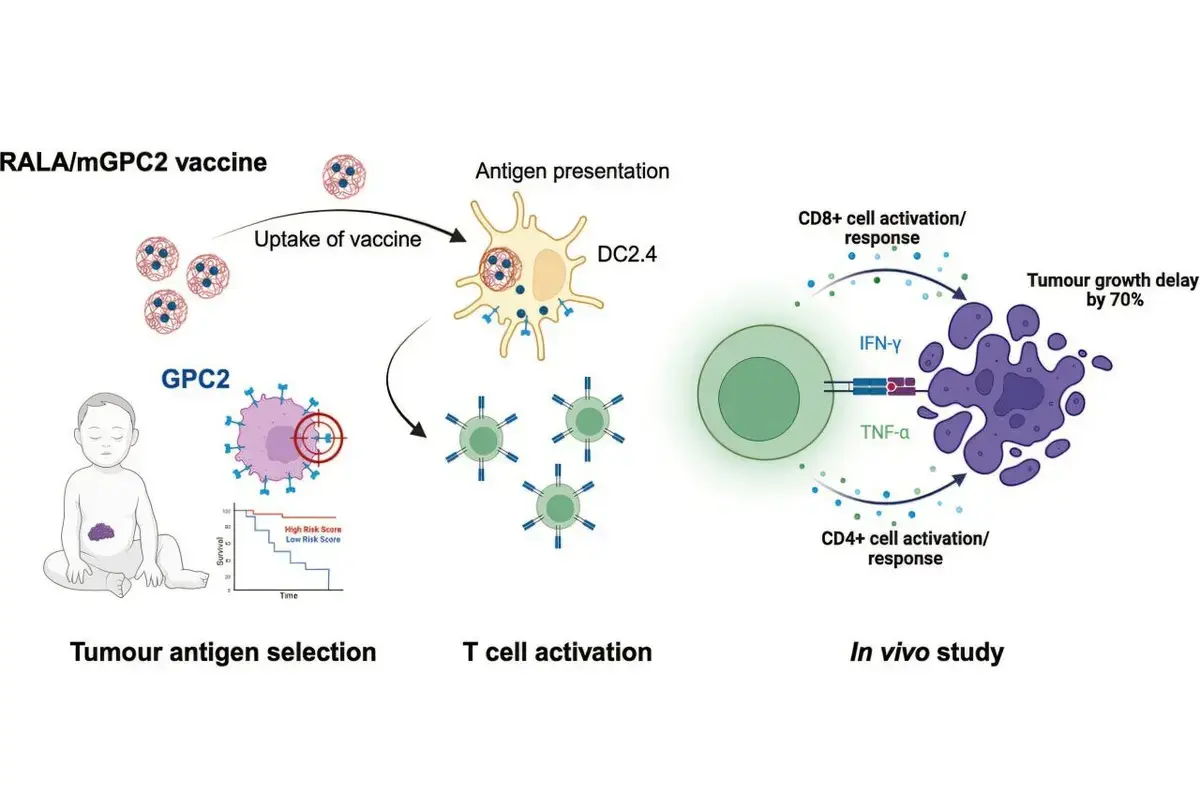 New Anticancer Vaccine Targets Neuroblastoma