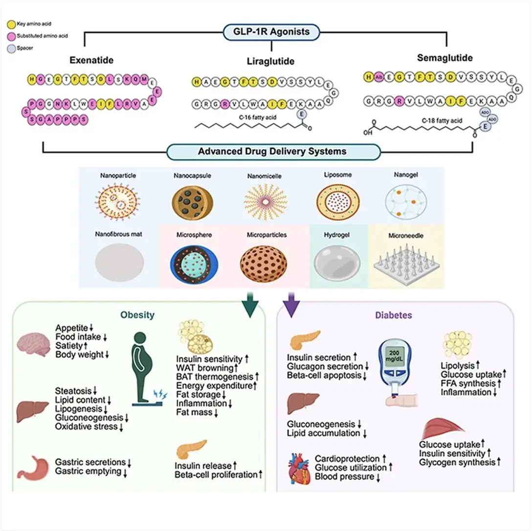 New Approaches to GLP-1 Medicines