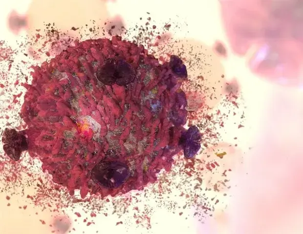 New Cancer Therapy Targets Cell Waste Disposal