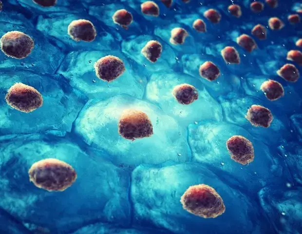 New Drug Candidate Shows Promise for Huntington's Disease