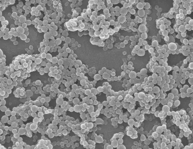 New Nanoparticle Therapy Targets Cancer with Copper-Induced Cell Death