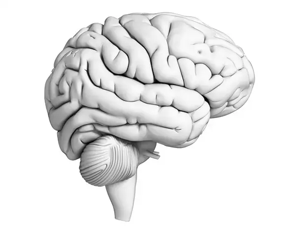 New Optical Control Platform Successfully Manipulates Neural Signaling