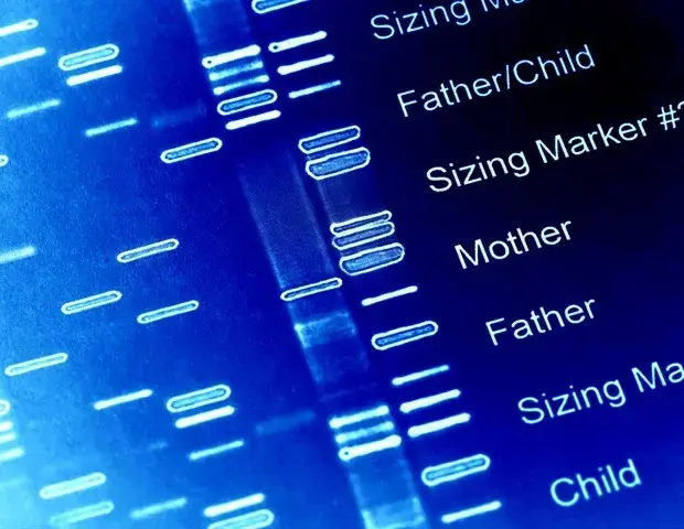 New Study Reveals Genetic Factors Behind Eating Disorders
