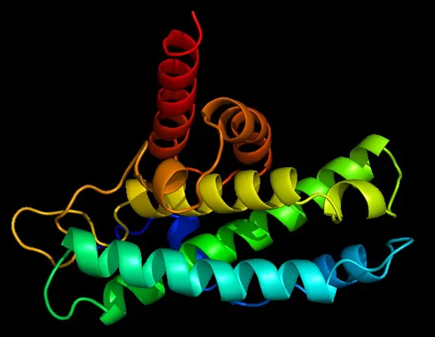 Protein Degrader Shows Promise