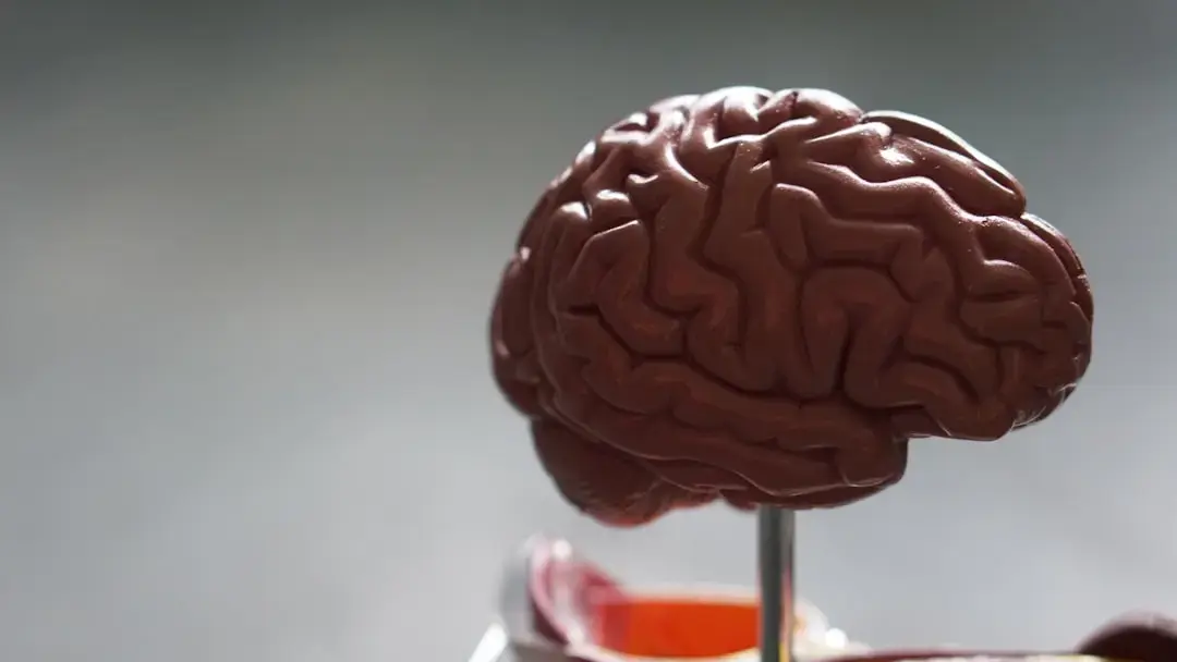 Prioritizing Cognitive Nutrition for Long-Term Mental Wellness