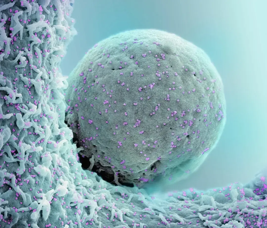 Scientists Discover Brain Cells Linked to Depression, Paving Way for New Treatments