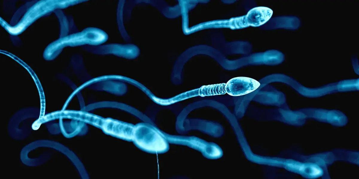 Severe COVID in fathers may cause anxiety in offspring, study suggests