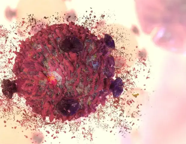 TAF1 Regulates Ferroptosis in Cancer Cells