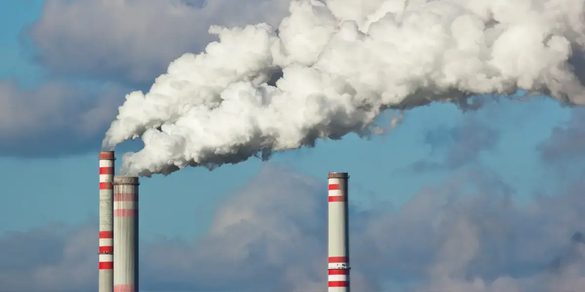 Wealth and Air Pollution Strongly Linked to Autism Rates, Study Finds