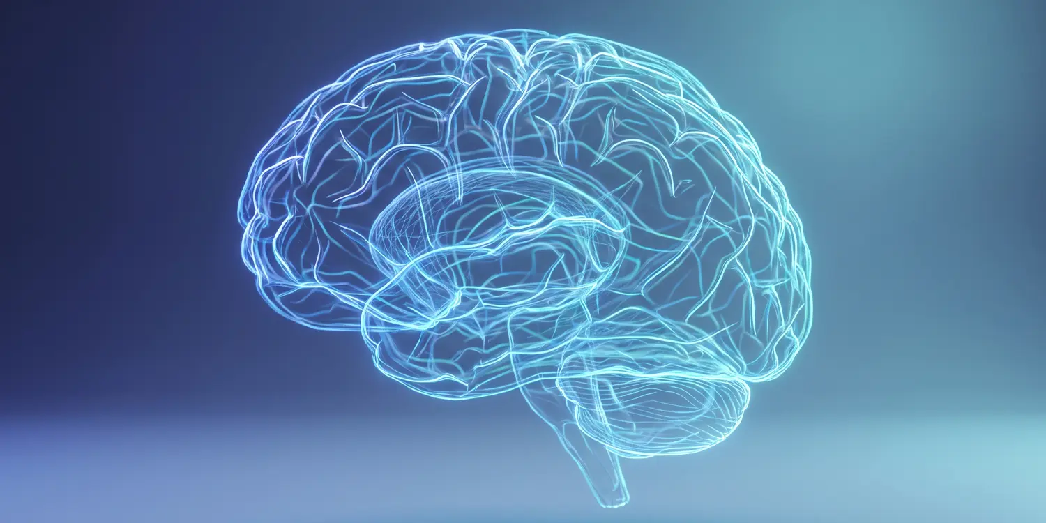 Brain Uses Separate Timers For Speaking And Listening In Conversation