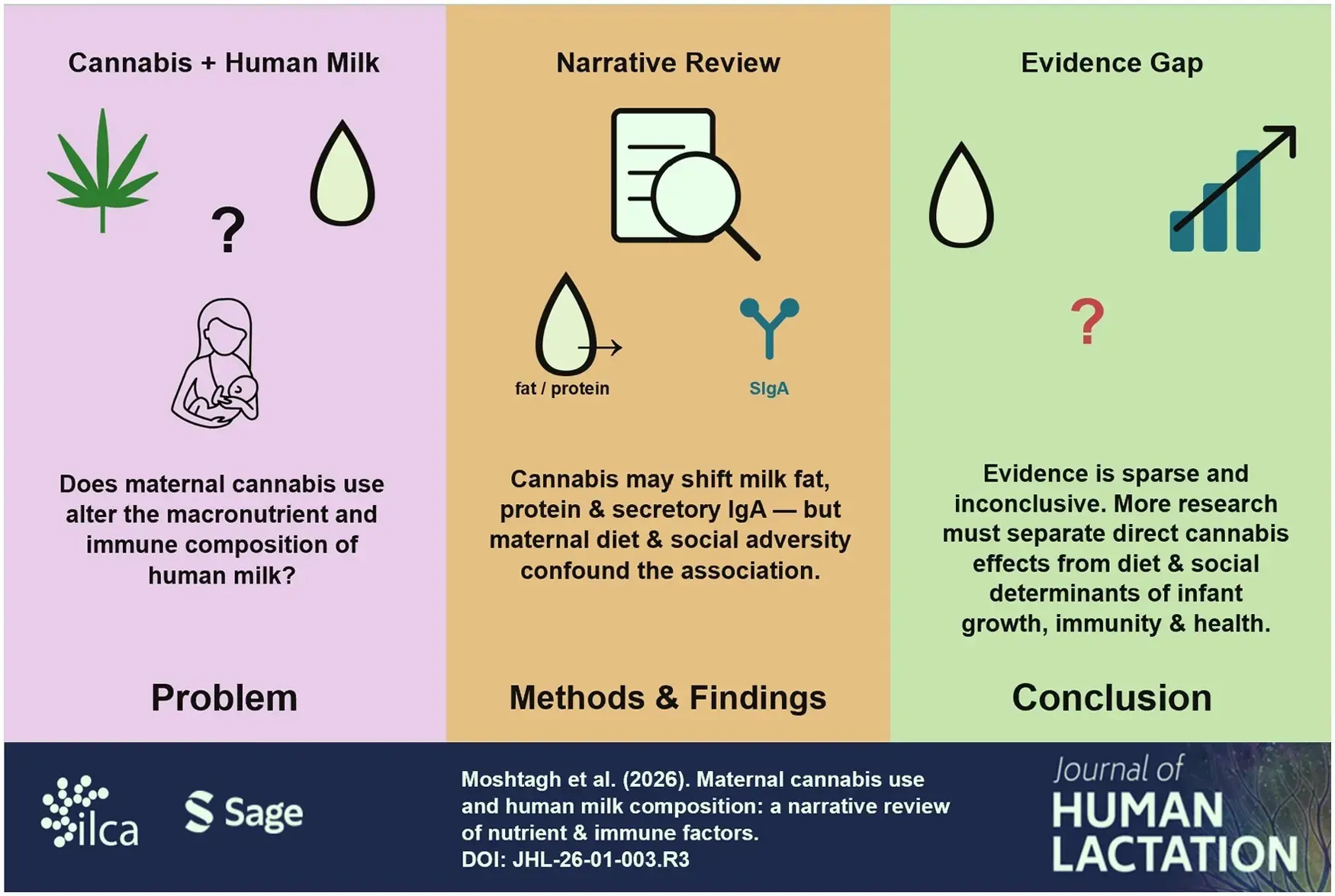 Breastmilk from Cannabis Users Shows Distinct Nutritional Differences