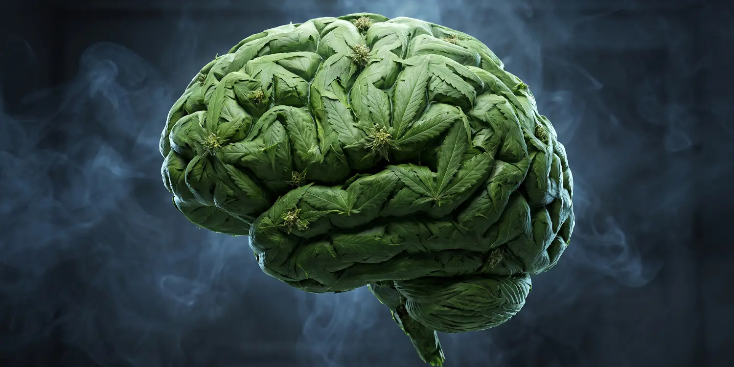 Cannabis Use Changes How the Brain Reacts to Nicotine