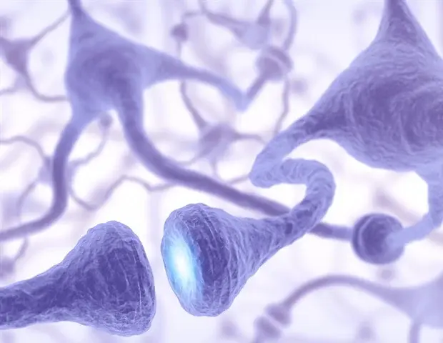 Gene editing technique slows motor neuron disease progression