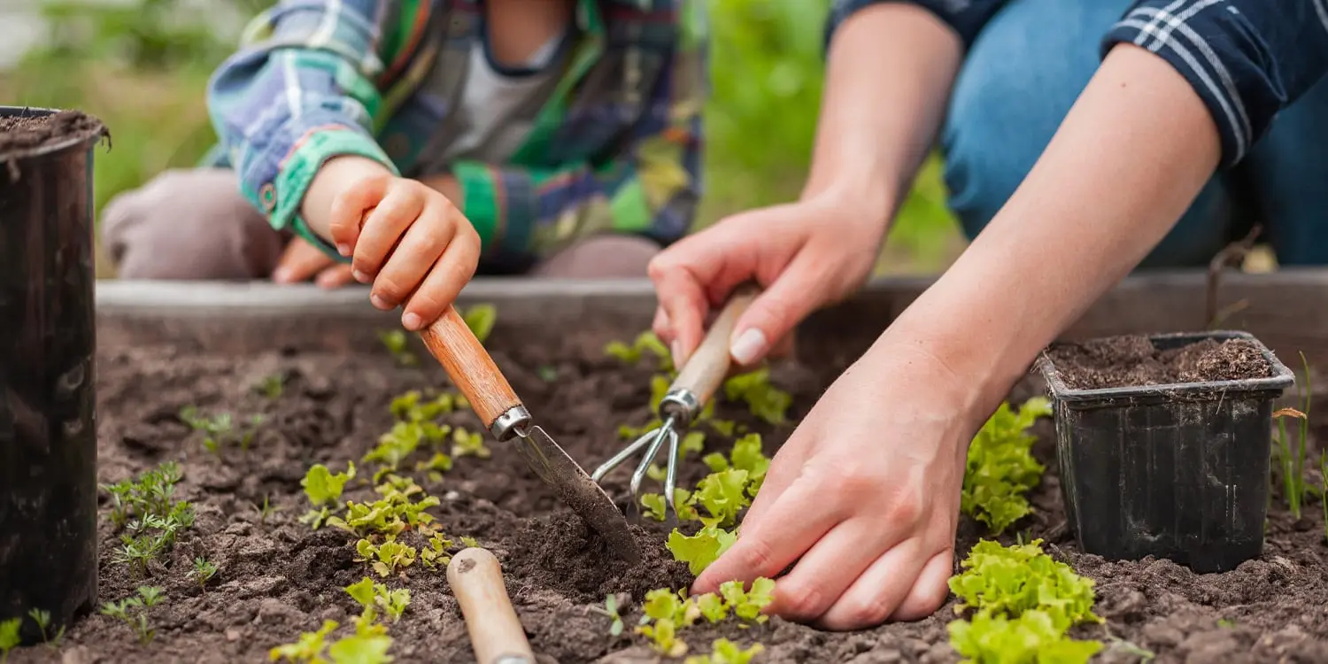 Therapeutic Gardening Shows Promise for Mental Health in Adults with Chronic Illnesses