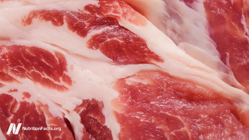 Meat Industry Study Finds High Cancer Risk