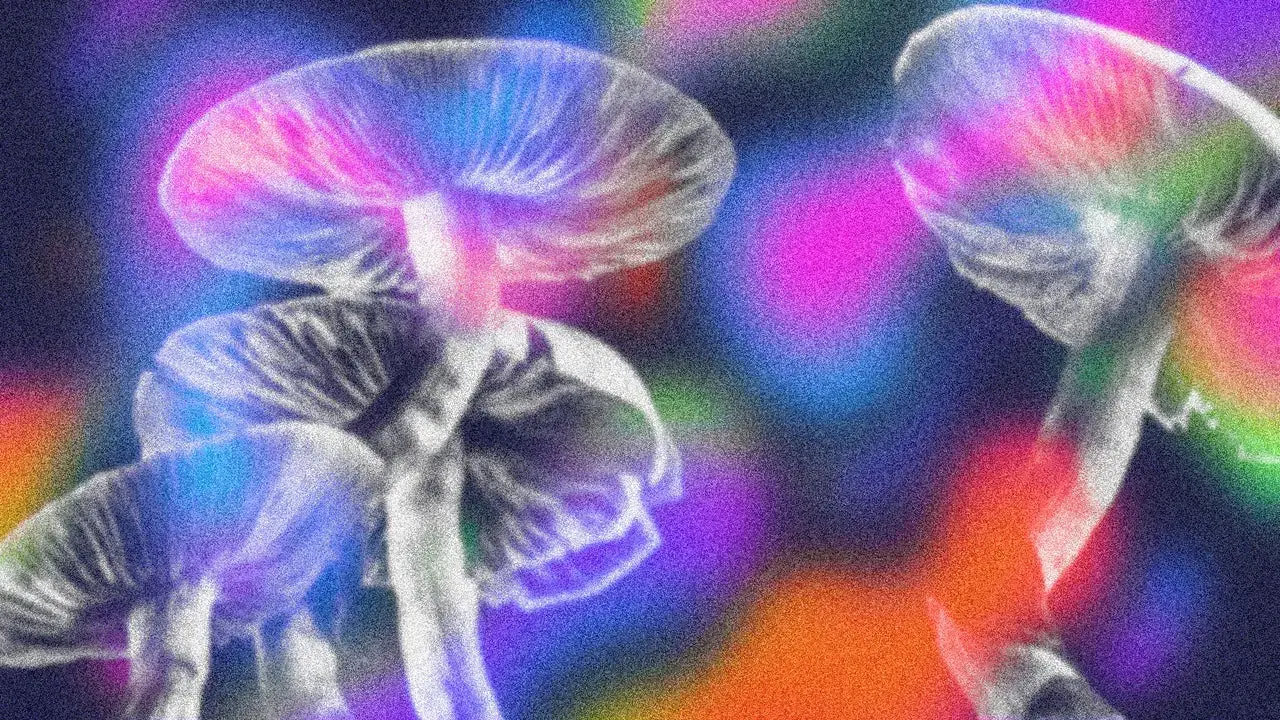 Psilocybin Shows Promise in Preventing Long-Term Chemotherapy Nerve Damage