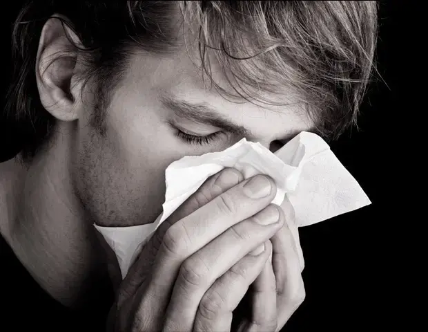Scientists reveal how cancer-causing p53 mutations evade immune detection