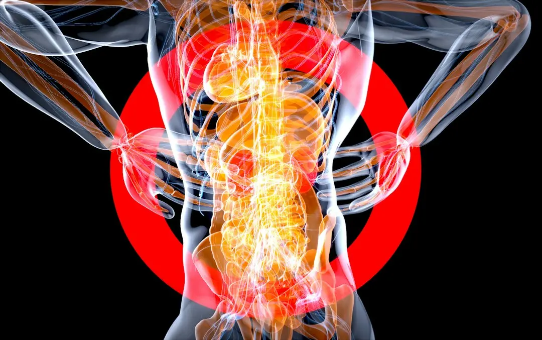 AI Scans Reveal Hidden Heart Inflammation in 43% of Low-Risk Adults