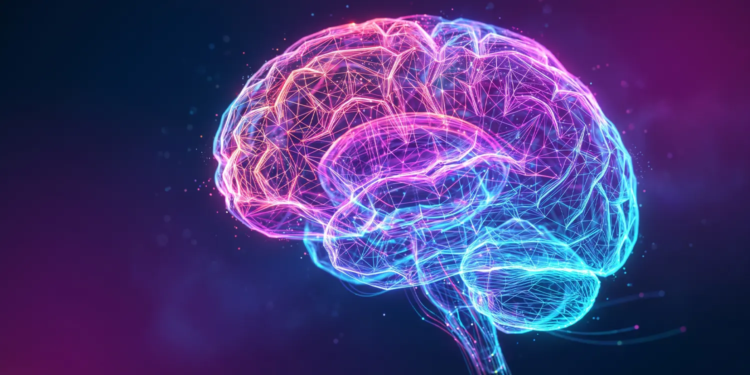 Brain Scans Reveal Direct Fear Routes in Human Thalamus-Amygdala Pathways