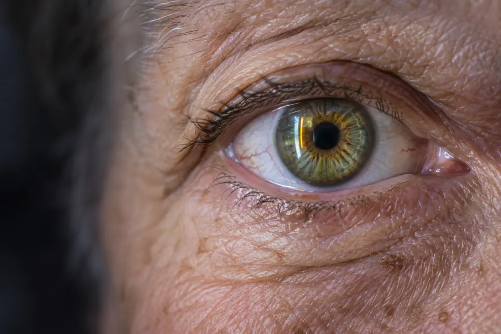 Human Trial Marks New Era for Cellular Rejuvenation