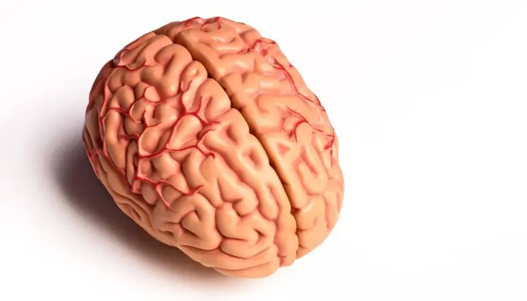 Drug Boosts Brain Blood Flow in High-Risk Alzheimer’s Patients