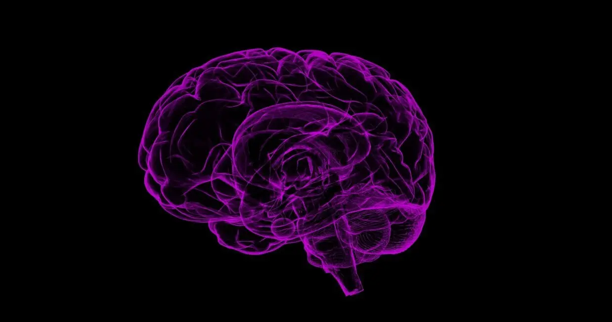 Hyperthymesia reveals deep secrets of human memory