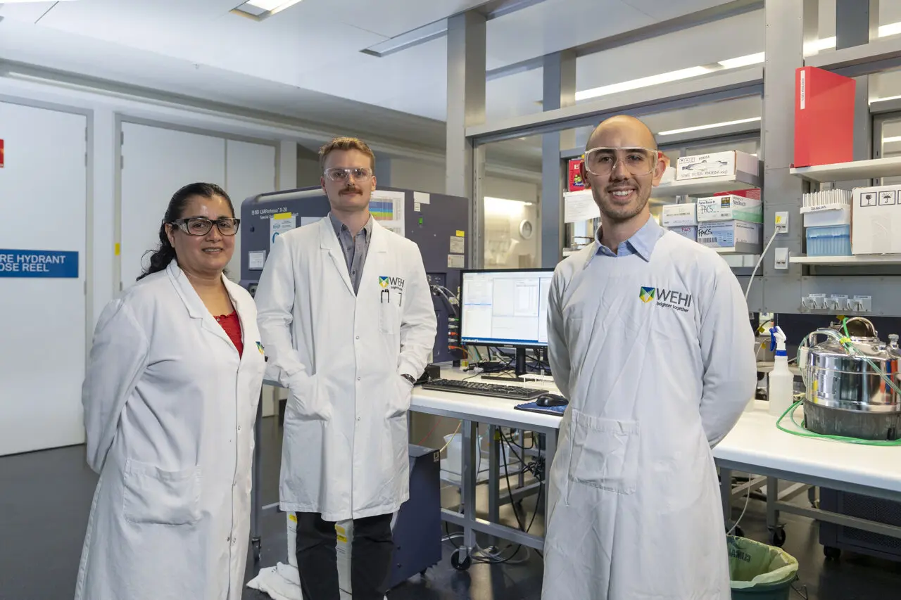 New Gene-Editing Technique Offers Precision Control for Cell Therapies