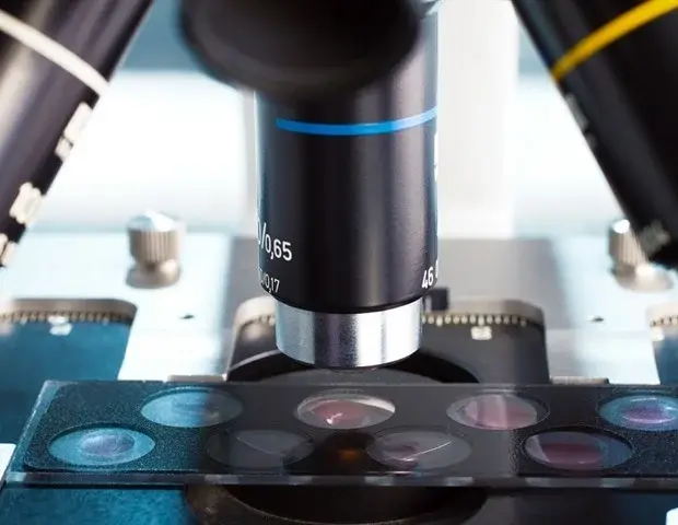 Scientists Capture Detailed Structure of Key Cancer Drug Building Enzyme